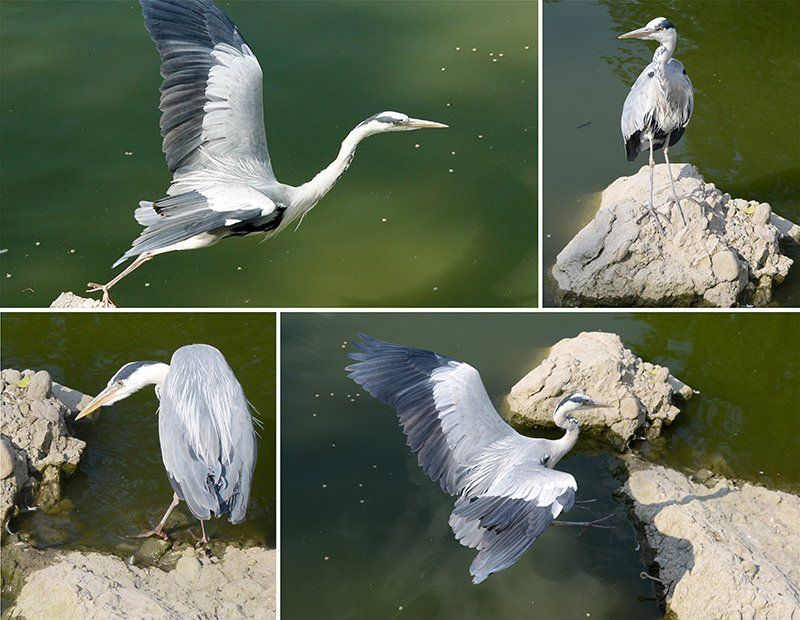 Fotografie Alfons Weber
