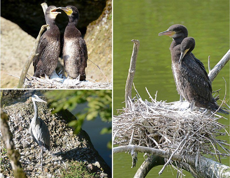 Fotografie Alfons Weber
