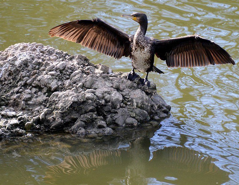 Fotografie Alfons Weber

