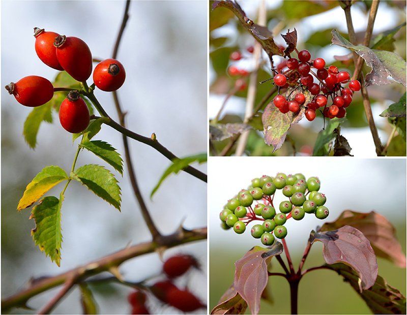 Fotografie Alfons Weber
