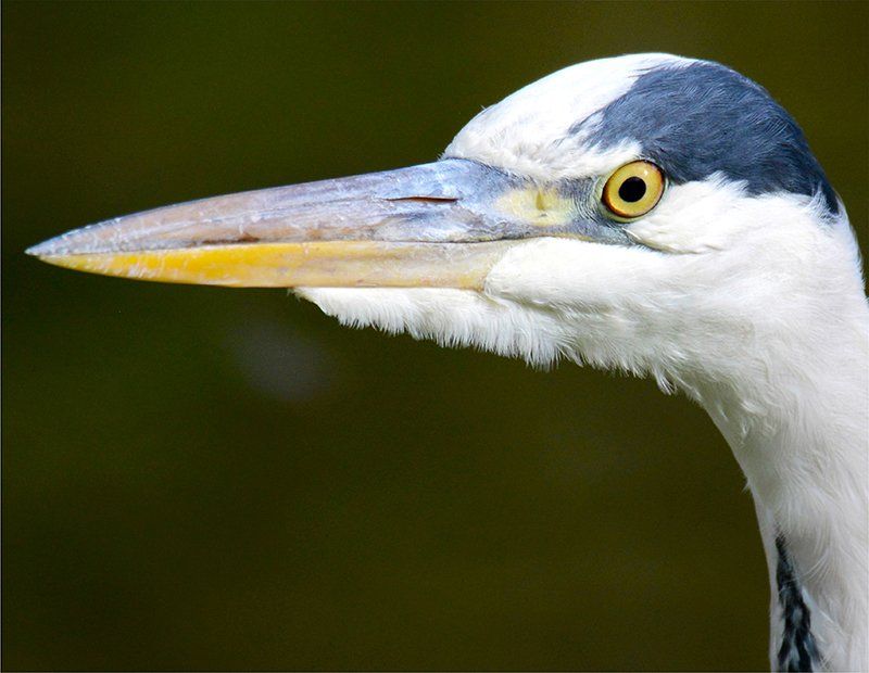 Fotografie Alfons Weber
