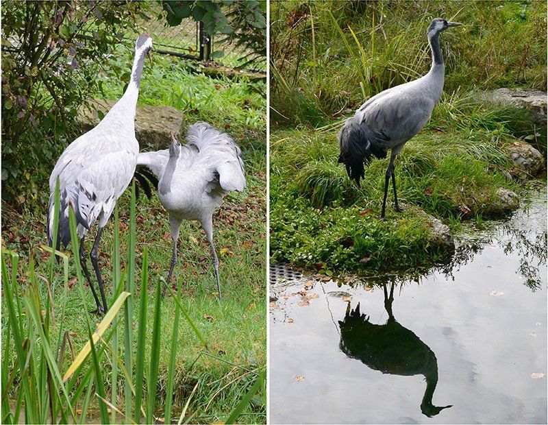 Fotografie Alfons Weber

