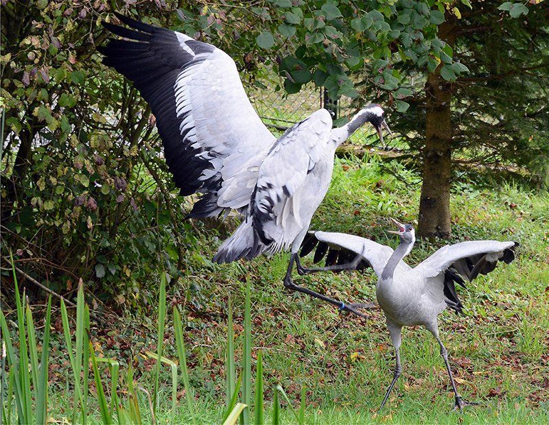 Fotografie Alfons Weber
