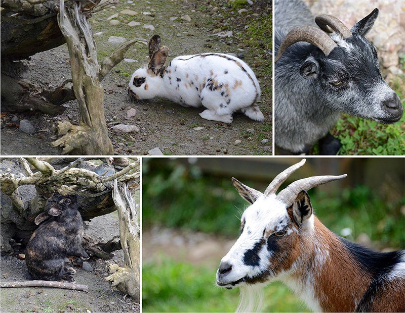 Fotografie Alfons Weber
