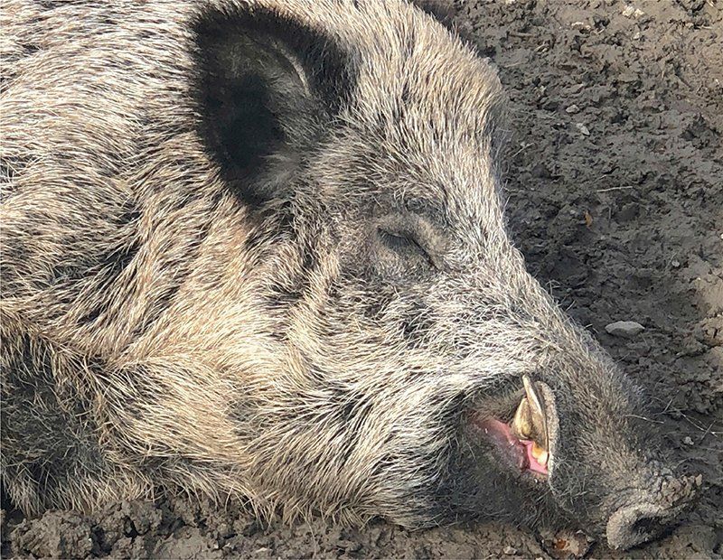 Fotografie Alfons Weber
