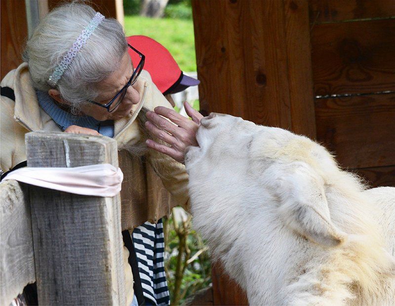 Fotografie Alfons Weber
