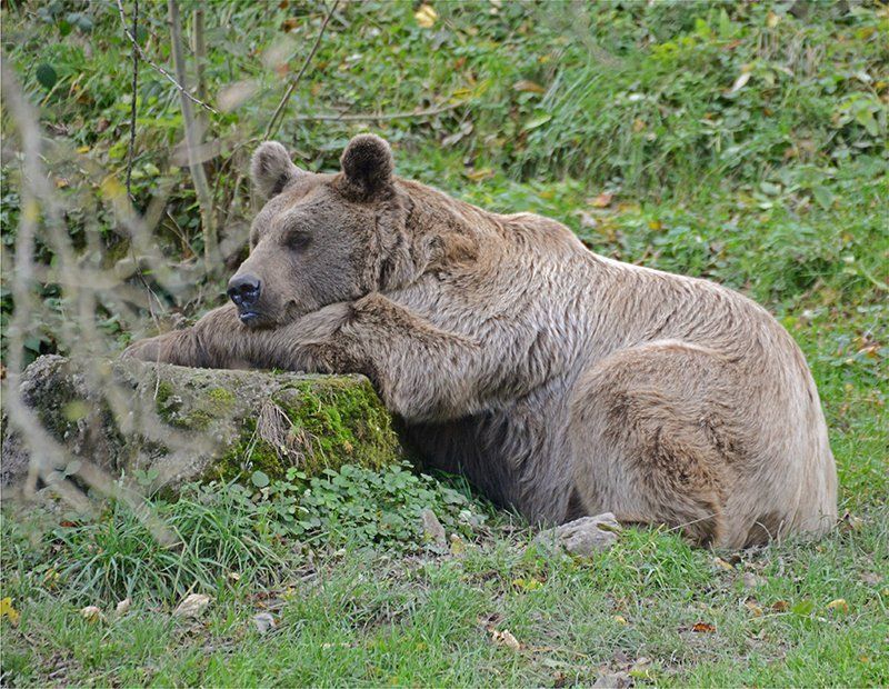 Fotografie Alfons Weber
