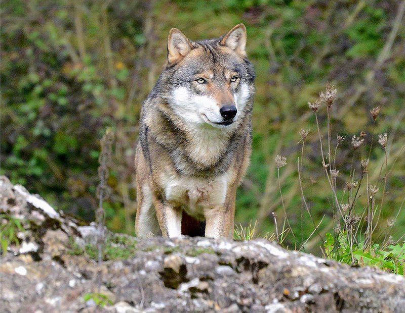 Fotografie Alfons Weber

