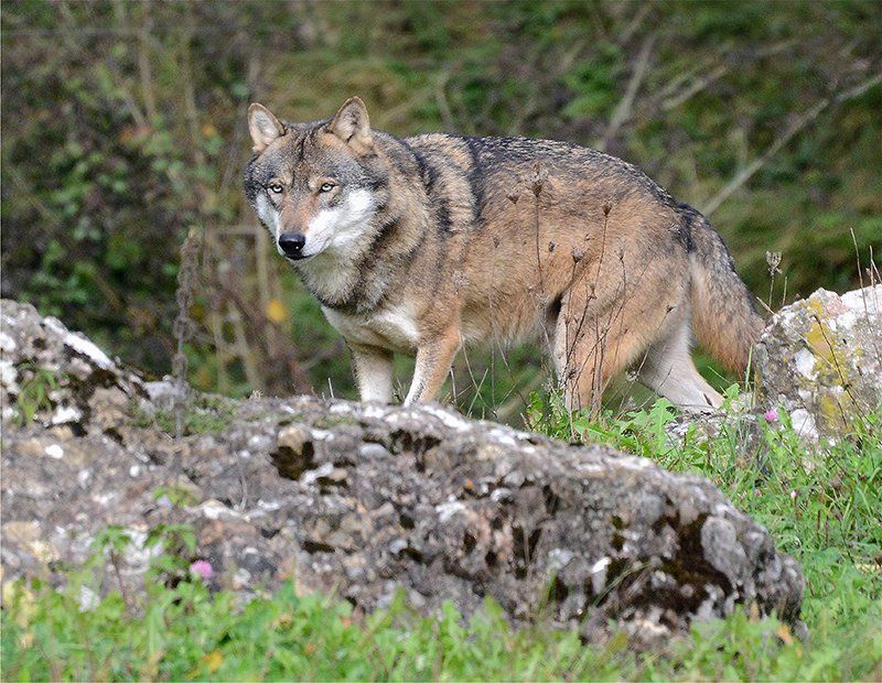 Fotografie Alfons Weber

