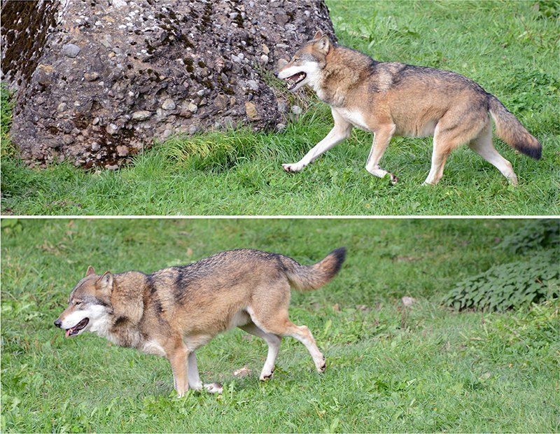 Fotografie Alfons Weber
