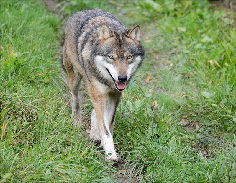 Fotografie Alfons Weber
