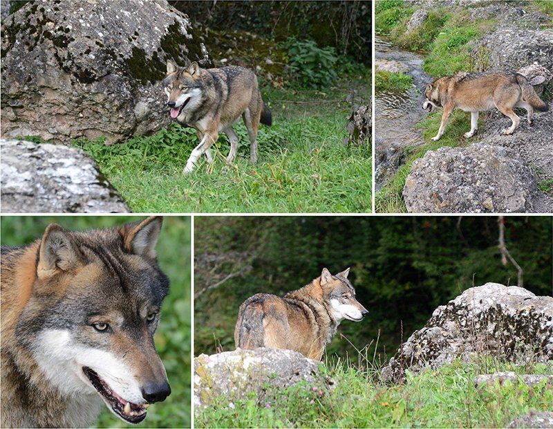 Fotografie Alfons Weber
