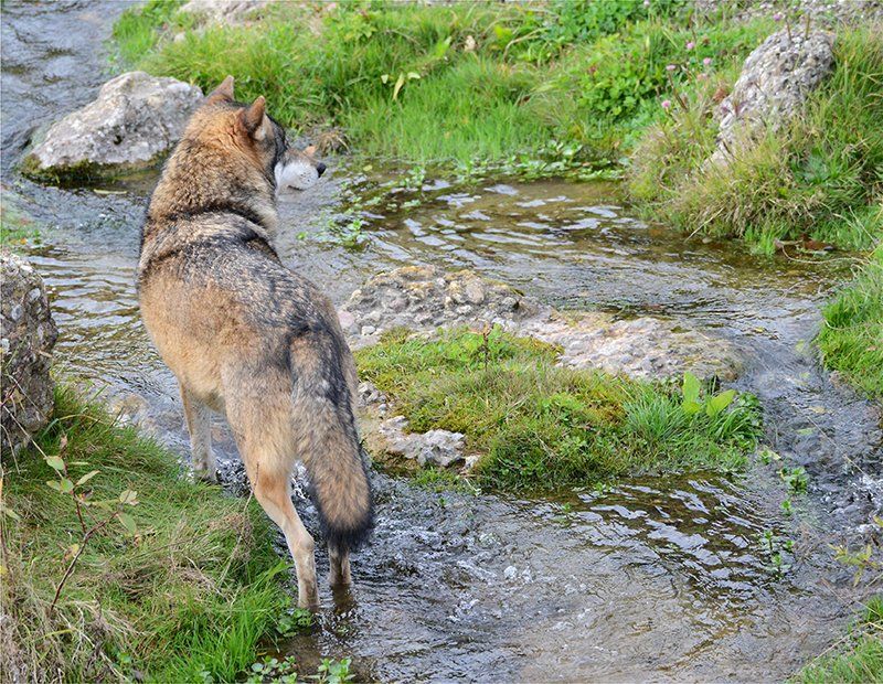 Fotografie Alfons Weber
