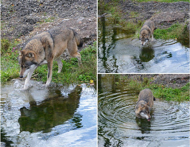 Fotografie Alfons Weber
