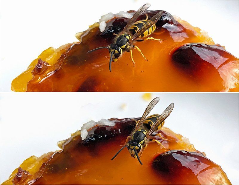 Fotografie Alfons Weber
