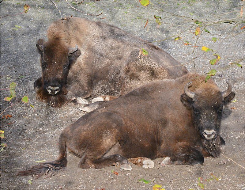 Fotografie Alfons Weber
