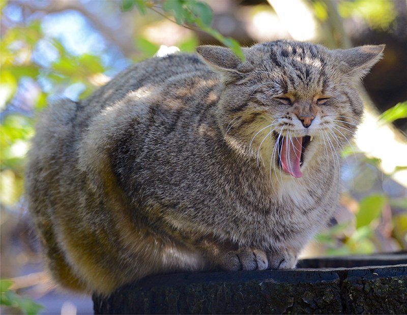 Fotografie Alfons Weber
