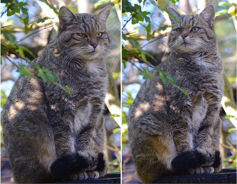 Fotografie Alfons Weber
