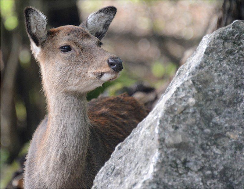 Fotografie Alfons Weber
