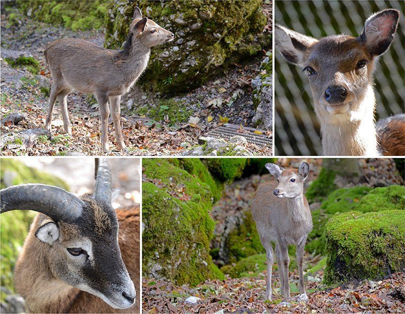 Fotografie Alfons Weber
