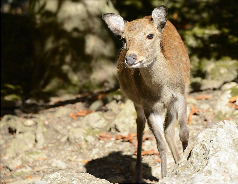 Fotografie Alfons Weber
