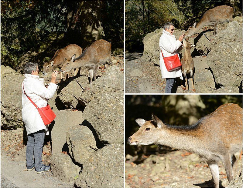 Fotografie Alfons Weber
