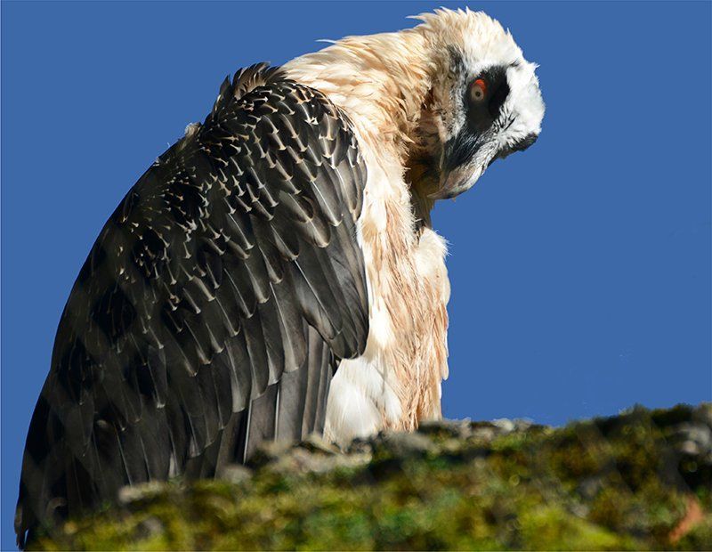 Fotografie Alfons Weber
