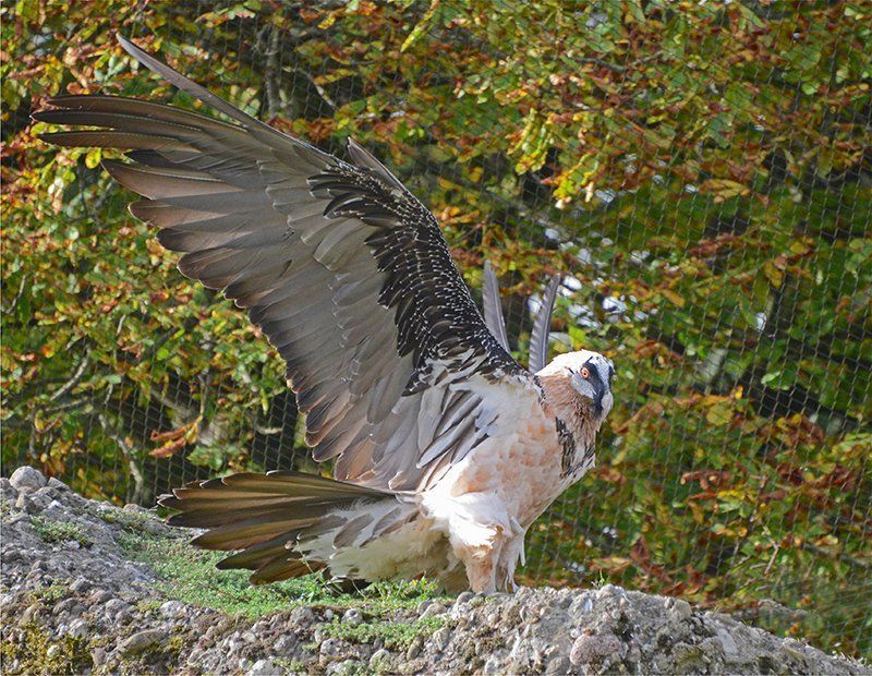 Fotografie Alfons Weber
