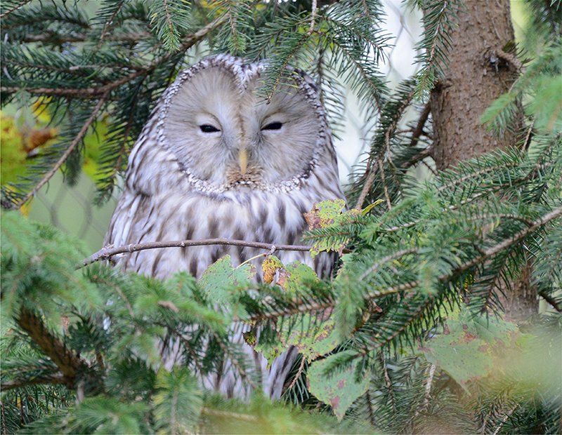 Fotografie Alfons Weber
