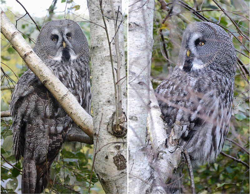 Fotografie Alfons Weber
