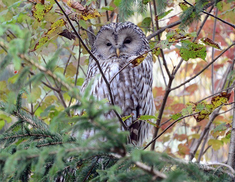 Fotografie Alfons Weber
