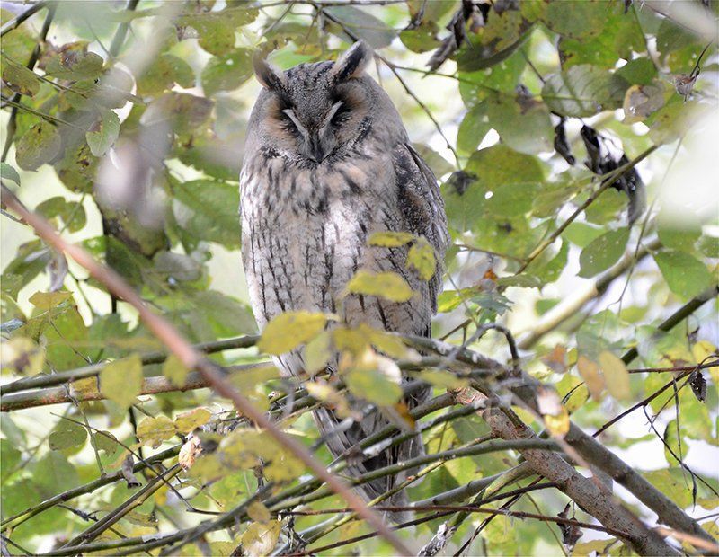 Fotografie Alfons Weber
