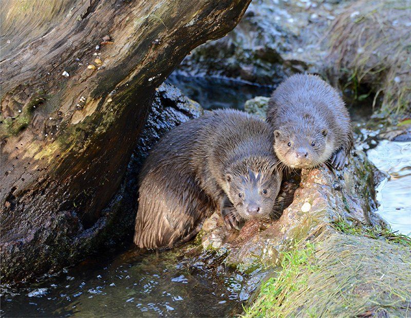Fotografie Alfons Weber

