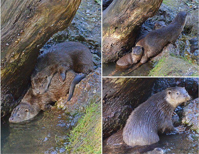 Fotografie Alfons Weber
