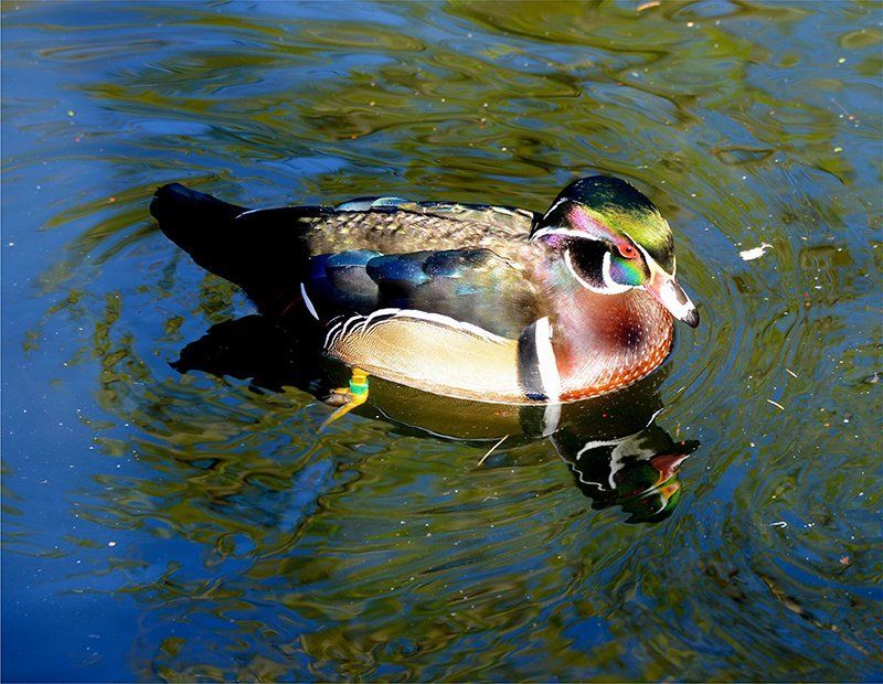 Fotografie Alfons Weber
