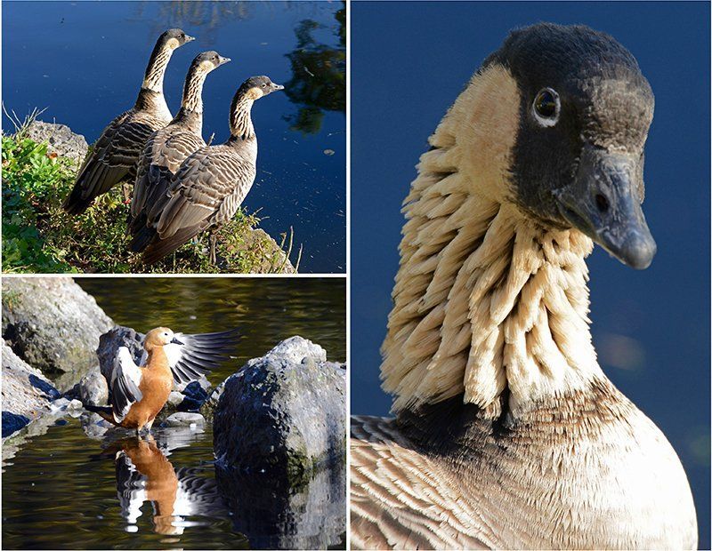 Fotografie Alfons Weber
