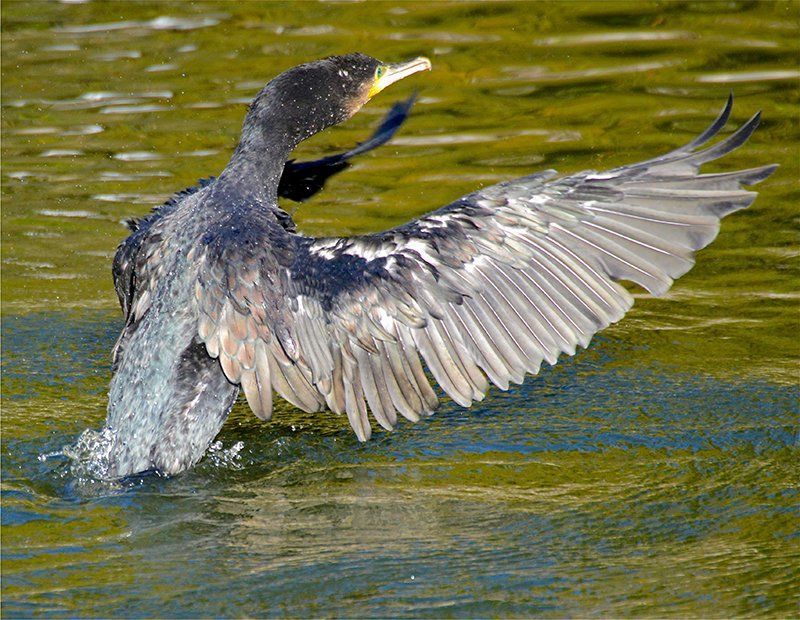 Fotografie Alfons Weber
