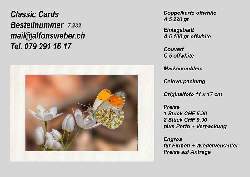 Fotografie Alfons Weber
