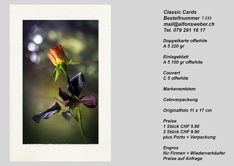 Fotografie Alfons Weber
