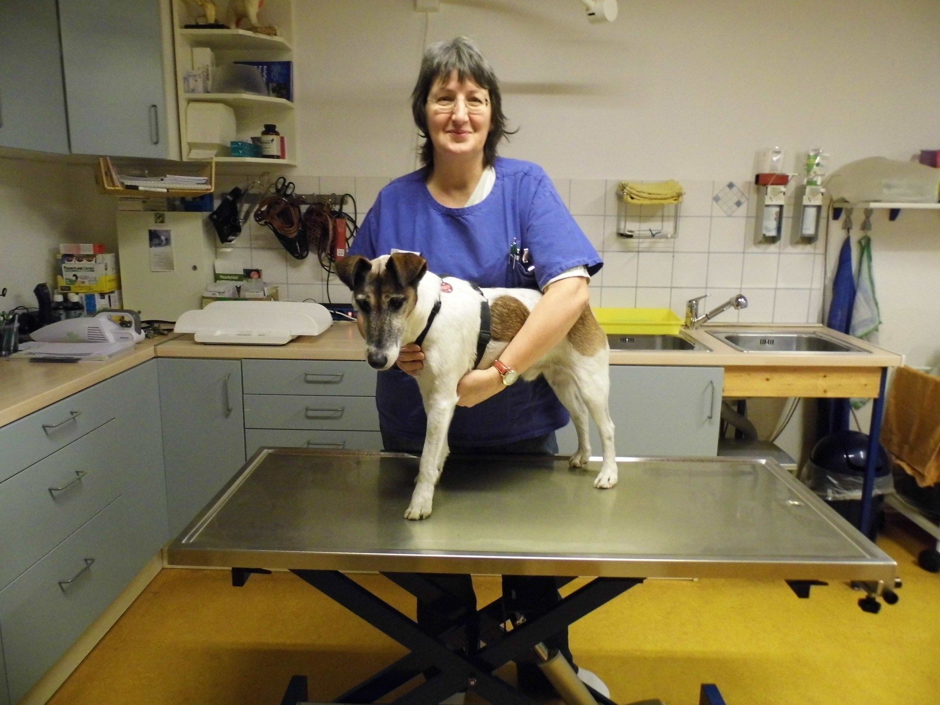 Eine Frau hält einen kleinen Hund auf einem Tisch