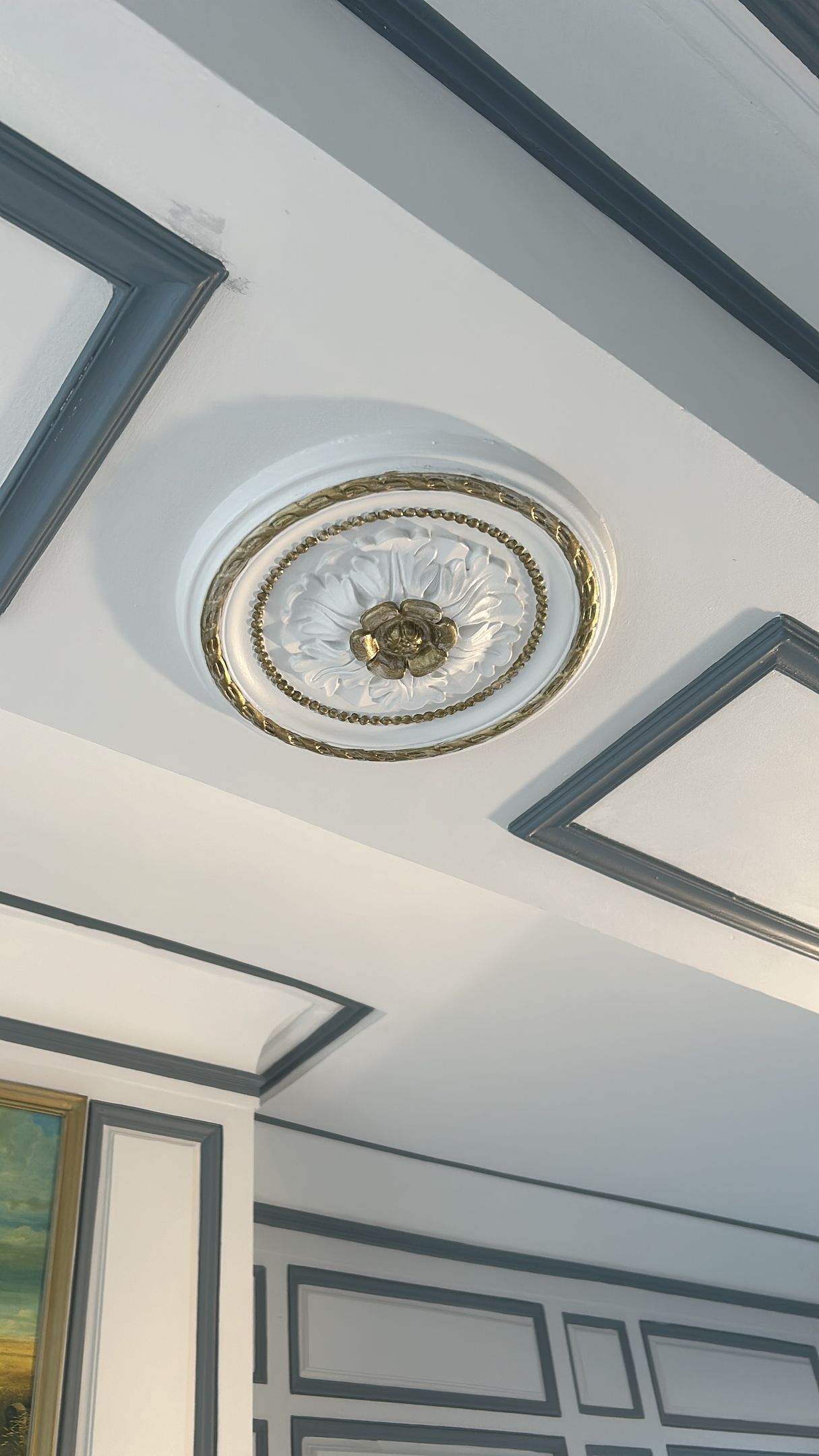 Plafond blanc orné de moulures grises et d'un médaillon décoratif.