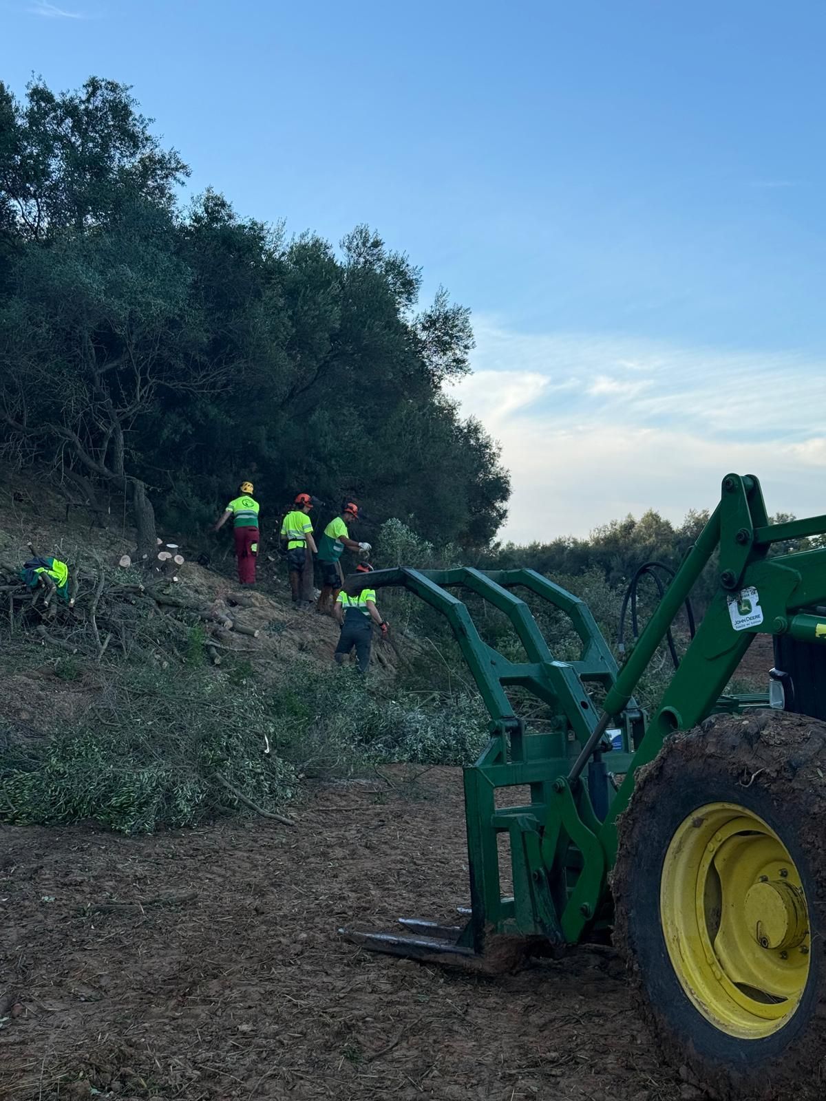 Unos trabajadores con chalecos de seguridad fluorescentes despejan la maleza en una carretera empinada
