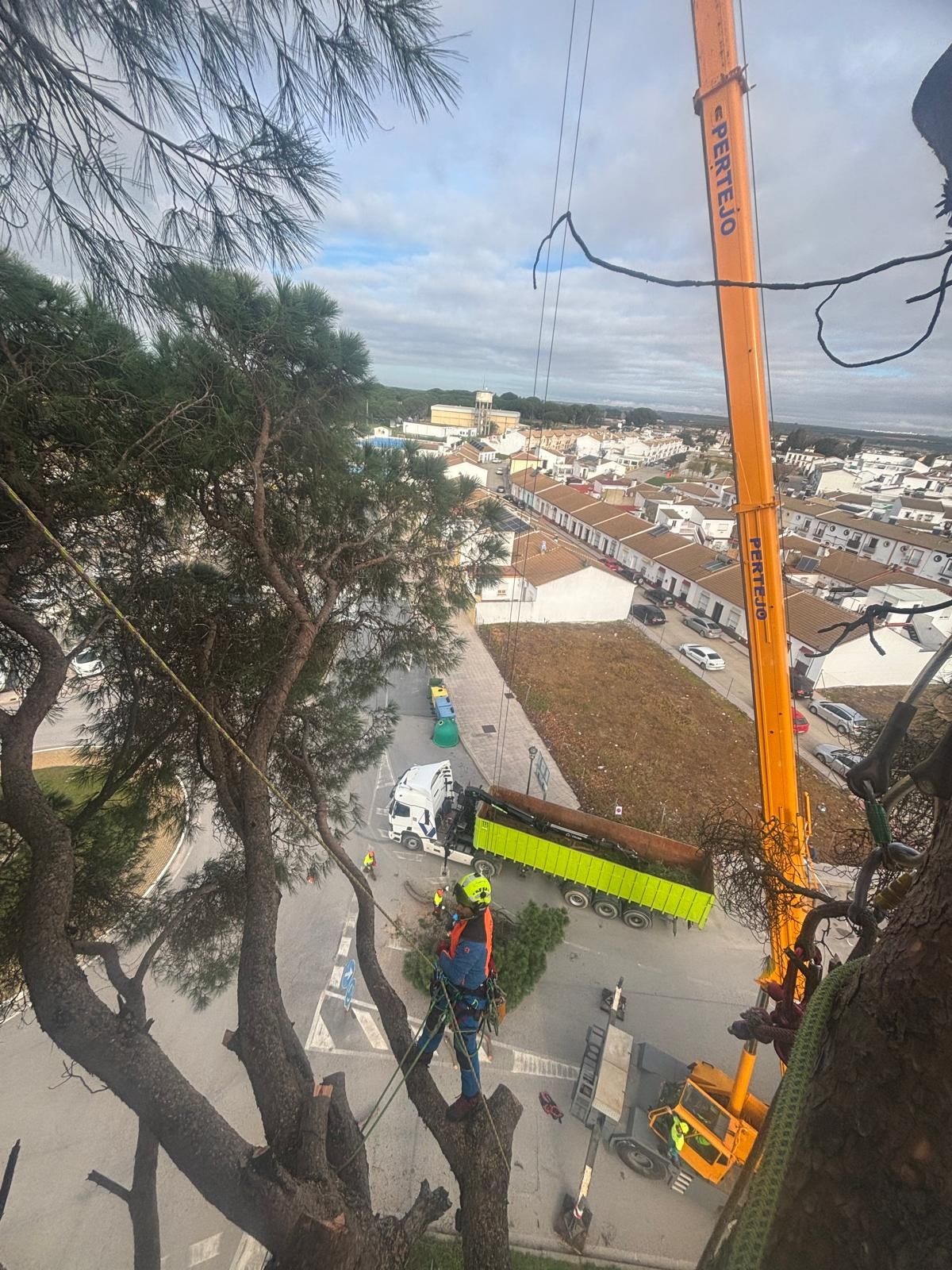 Obra rodeada de árboles, con una grúa naranja que levanta una larga viga amarilla junto a un camino de tierra