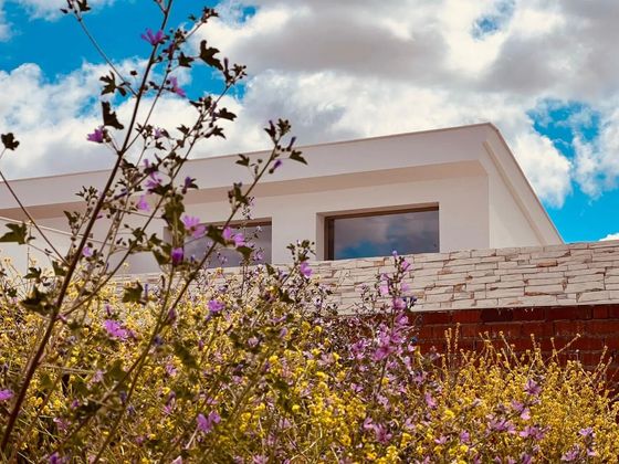 Flores silvestres en flor enmarcan un moderno edificio blanco bajo un cielo parcialmente nublado.