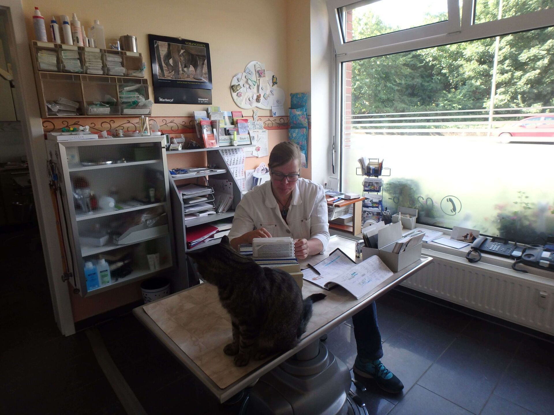 Zertifikat Royal Canin