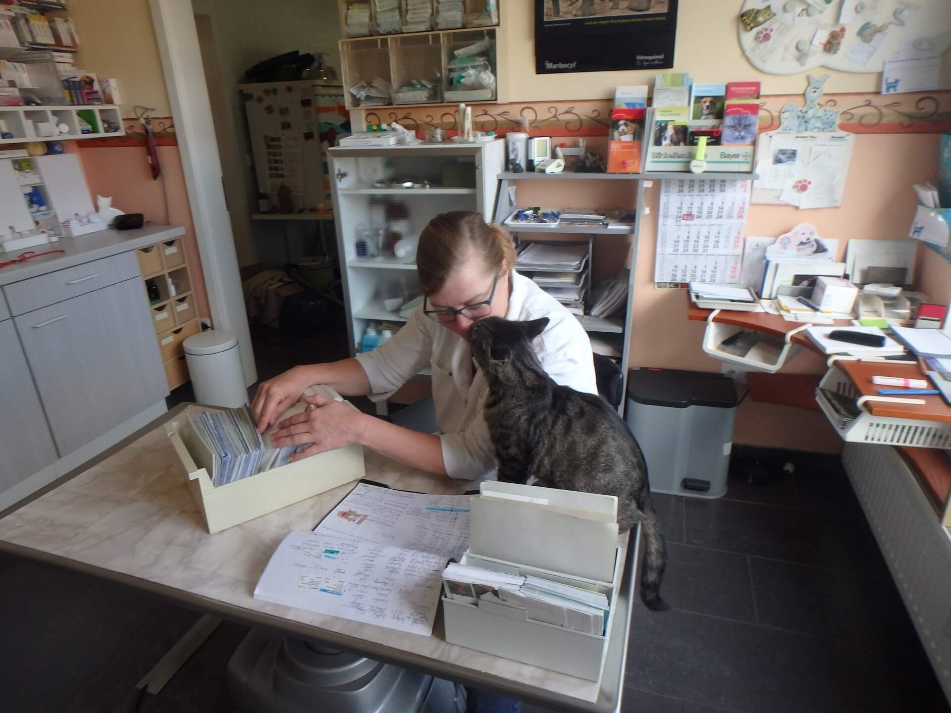 Zertifikat Royal Canin