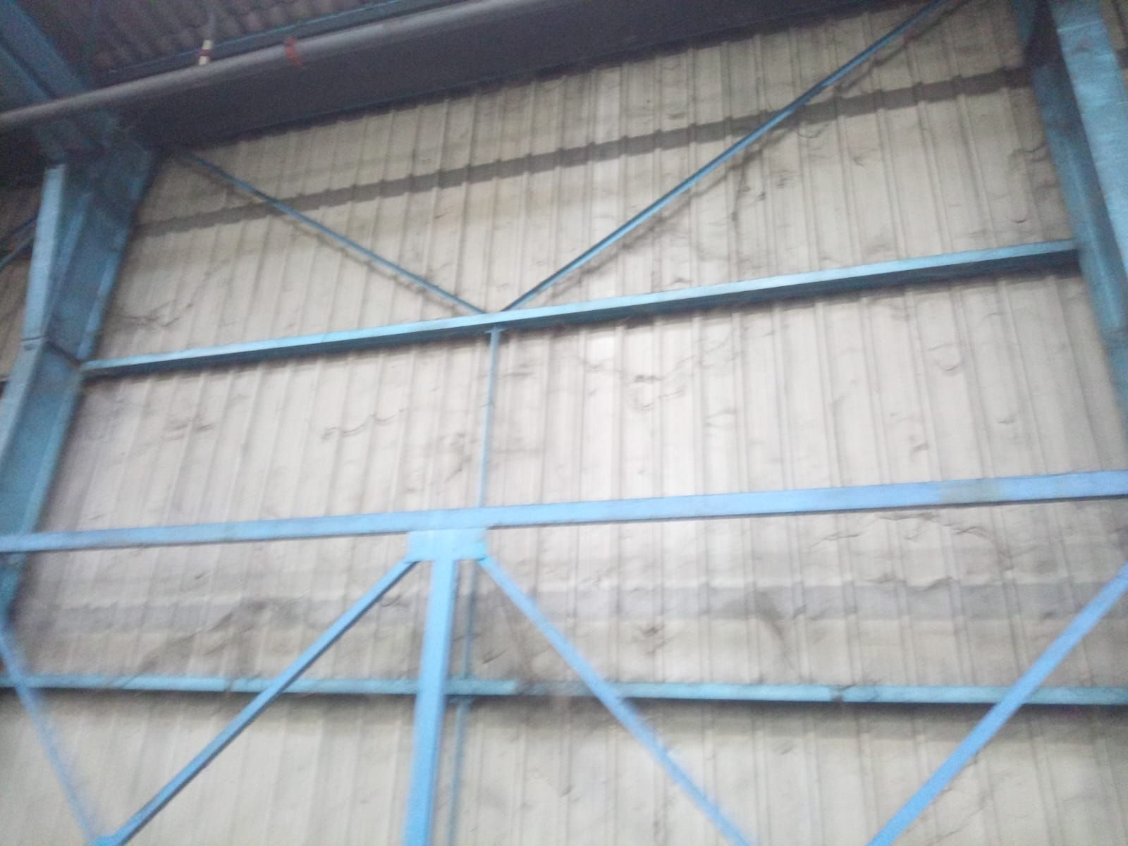 Détoilage avec nacelle à Longvic 21