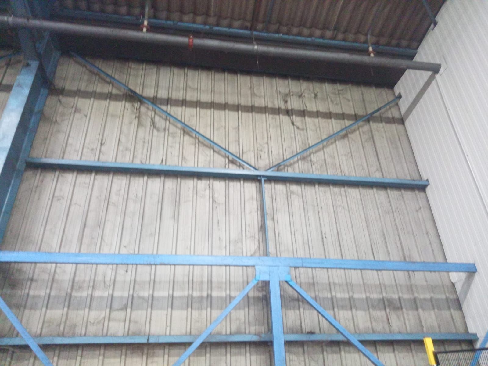 Détoilage avec nacelle à Longvic 21