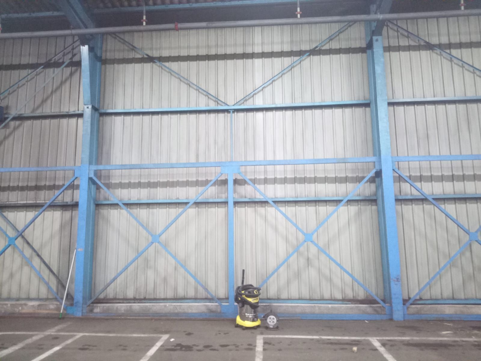 Détoilage avec nacelle à Longvic 21