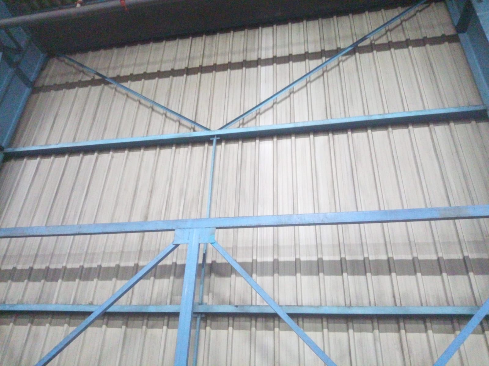 Détoilage avec nacelle à Longvic 21